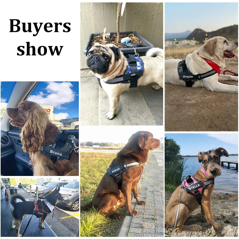 No-Pull Reflective Dog Harness – Personalised Breathable Vest Harness for All Sizes