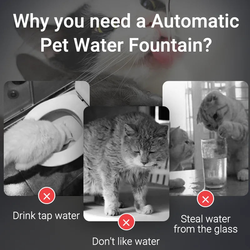 Smart Pet Water Fountain – Automatic Cat & Dog Drinking Purifier with Filters