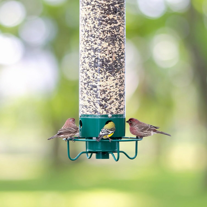 Squirrel-Proof Bird Feeder – Outdoor Wild Bird Seed Feeder