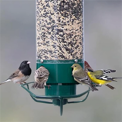 Squirrel-Proof Bird Feeder – Outdoor Wild Bird Seed Feeder
